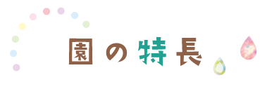 二葉幼児園の特長